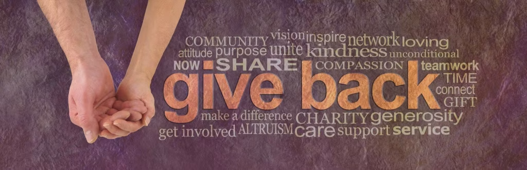 best wordpress donation plugins